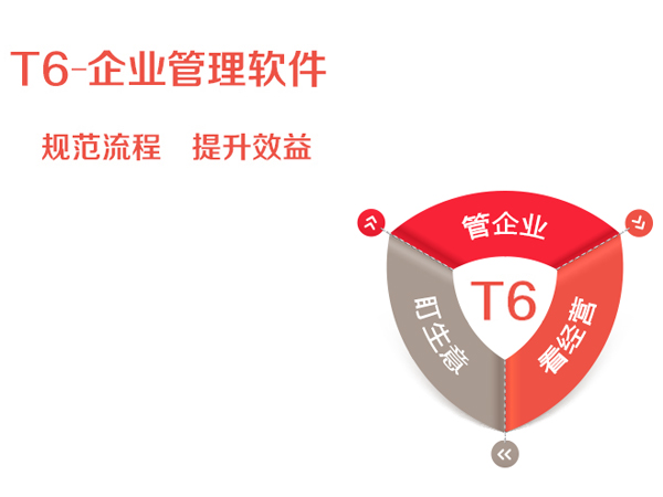 T6企業(yè)管理軟件